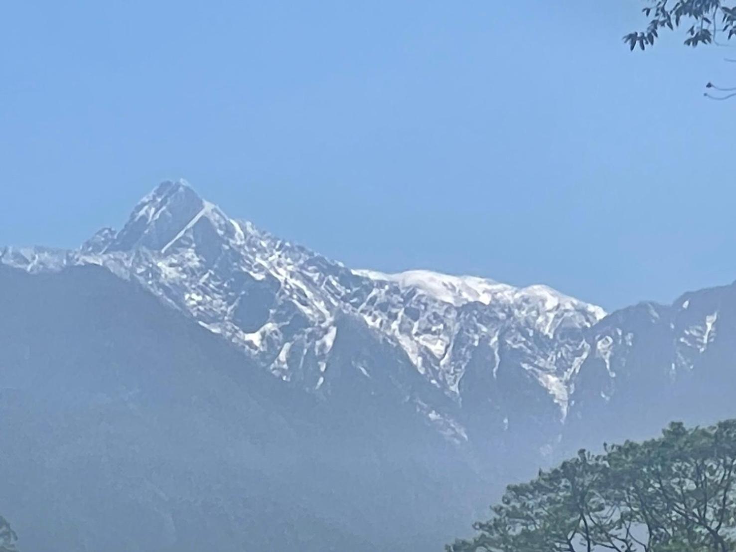 东埔Go比尔住宿加早餐旅馆 外观 照片