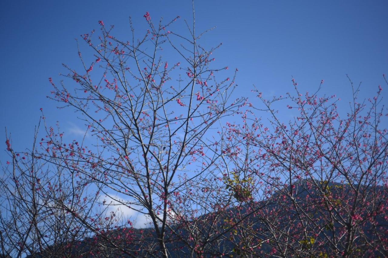 东埔Go比尔住宿加早餐旅馆 外观 照片